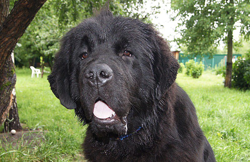 Фотография № 159243