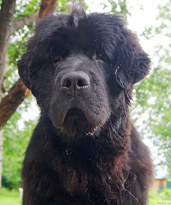 Фотография № 159244