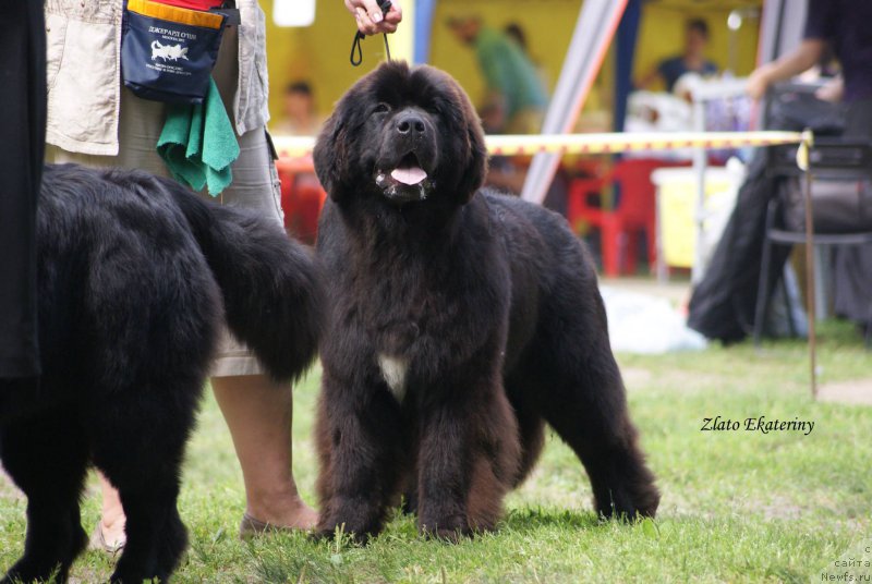 Фотография № 159245