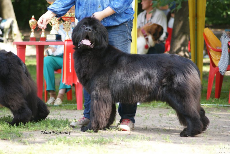 Фотография № 159247