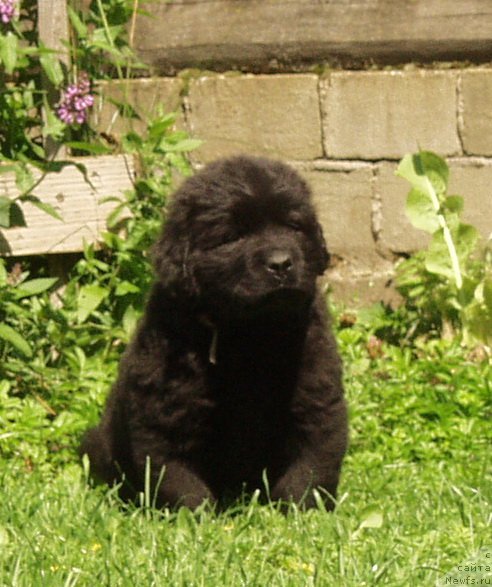 Фотография № 159278