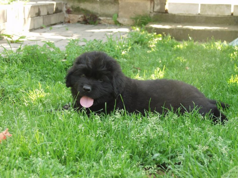 Фотография № 159280