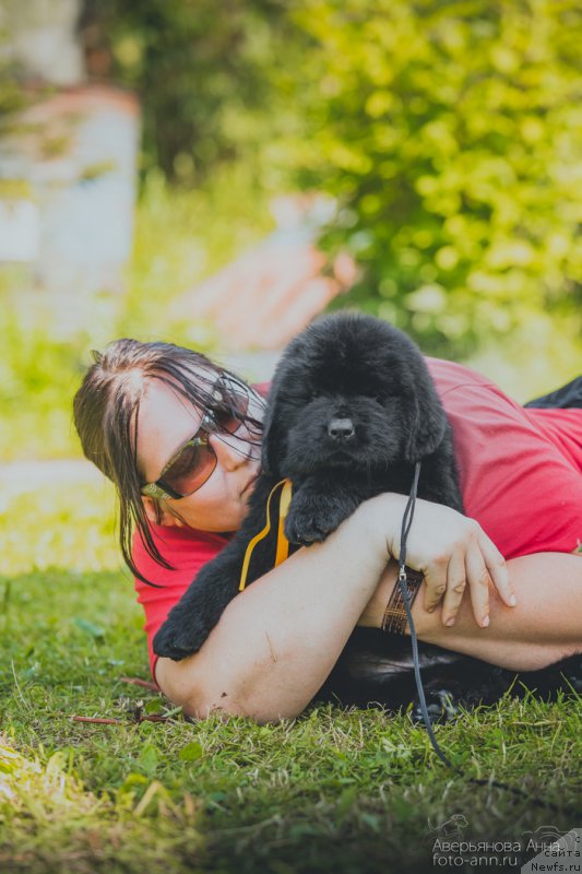 Фото: Бегущая по волнам Чичарито (Beguschaya po Volnam Chicharito)