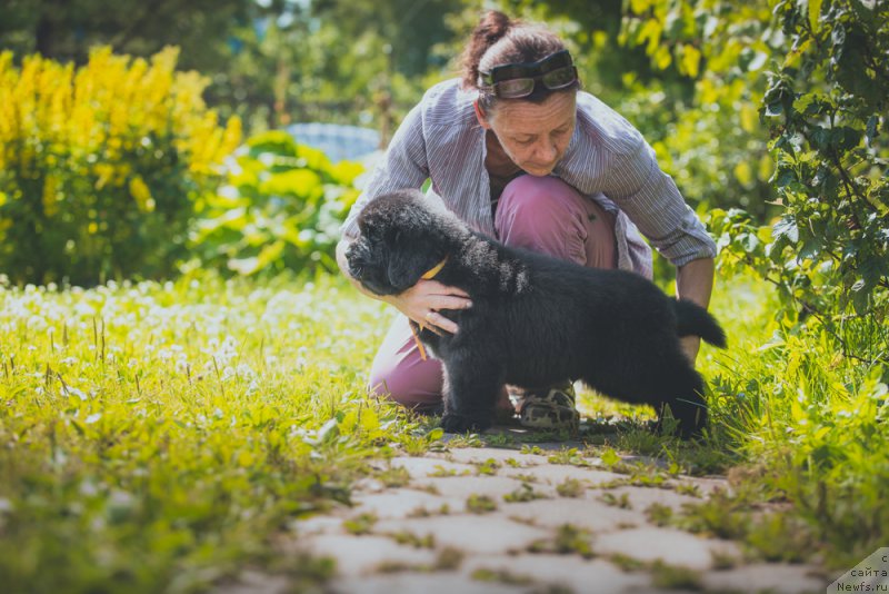 Фотография № 159337