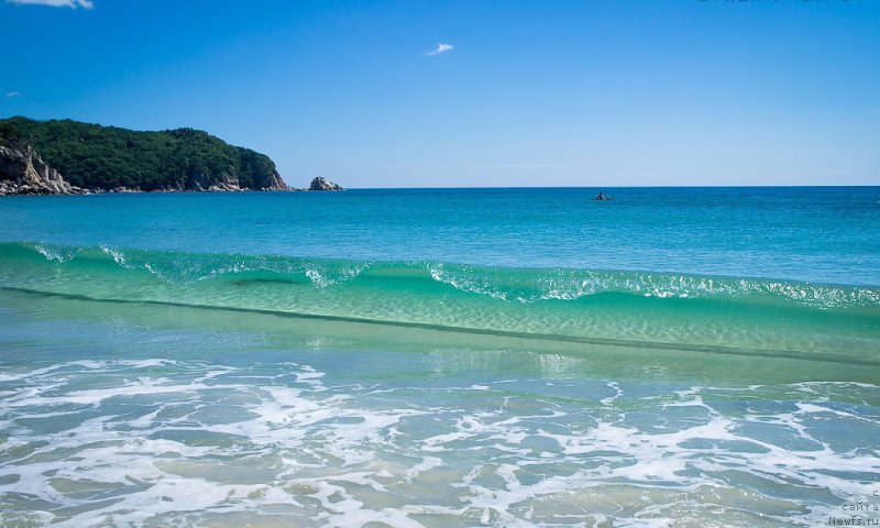 Фотография № 159351