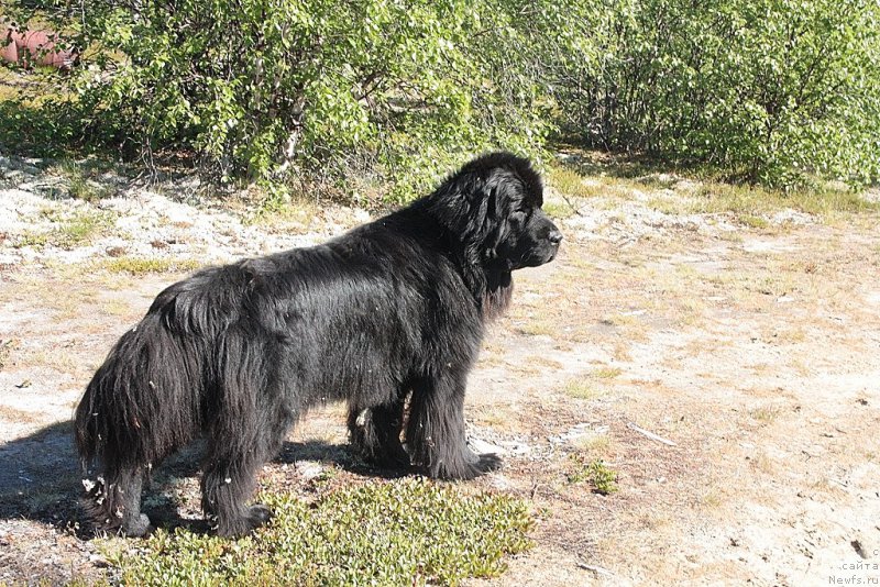 Фотография № 159367