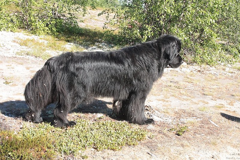 Фотография № 159368