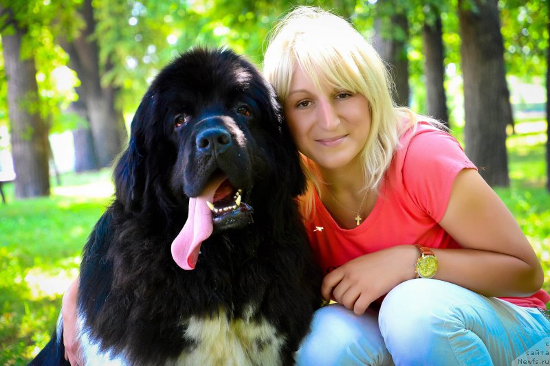 Фото: ньюфаундленд Плюшевая Панда Ферреро Ронд Нуар (Plushevaya Panda Ferrero Rond Noir), Ксения Городничева