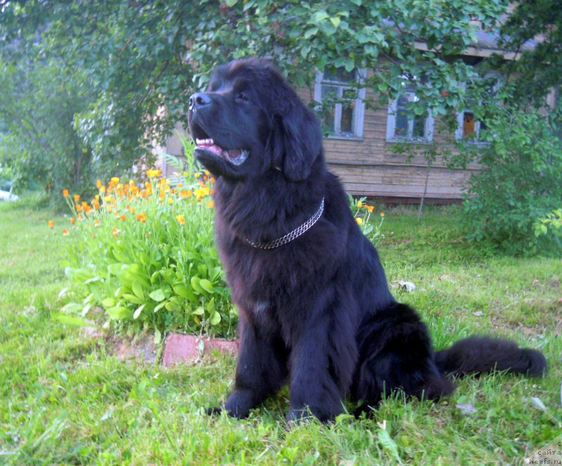 Фотография № 159380