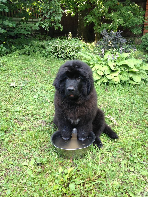 Фотография № 159396