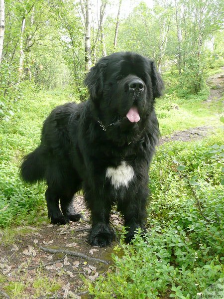 Фотография № 159464