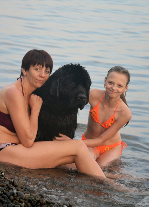 Фотография № 159488