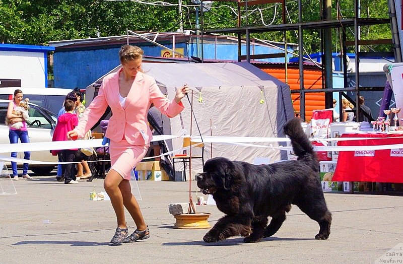 Фотография № 159490