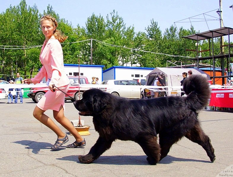 Фотография № 159491