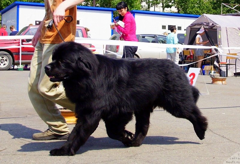 Фотография № 159492