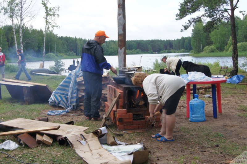 Фотография № 159514