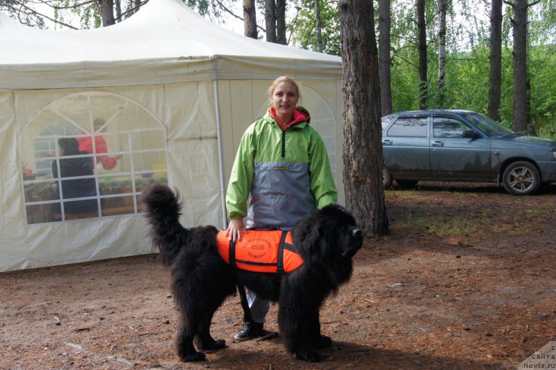 Фотография № 159517