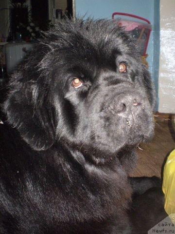 Фотография № 15956