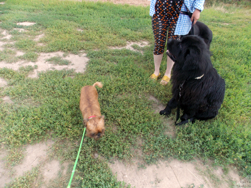 Фотография № 159564