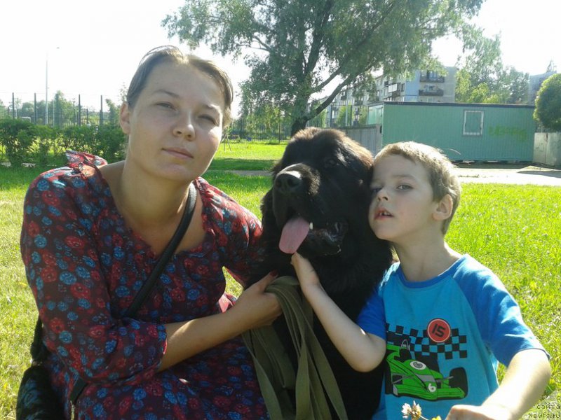 Фотография № 159572