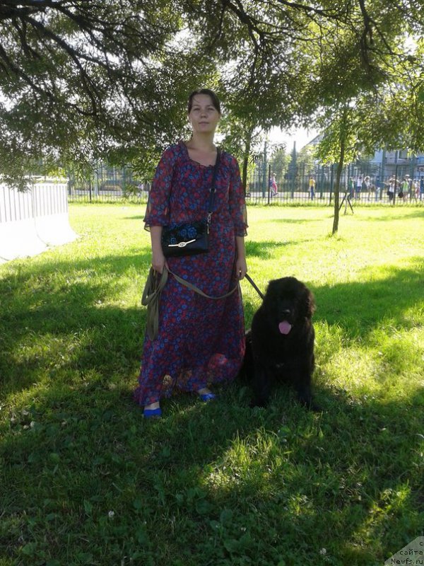 Фотография № 159573