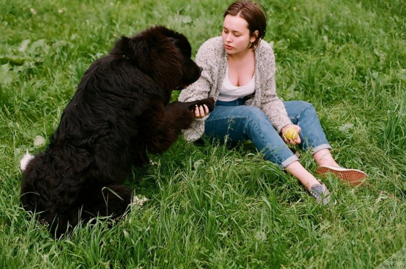 Фотография № 159579