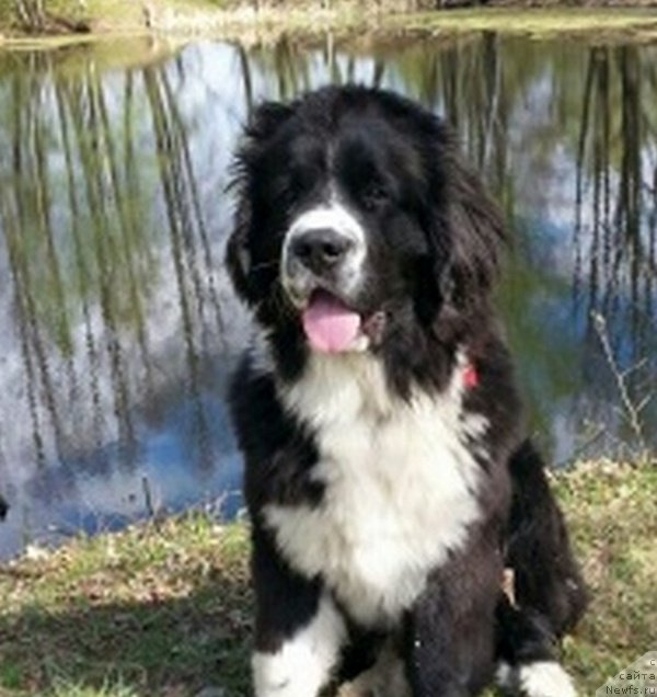 Фотография № 159580