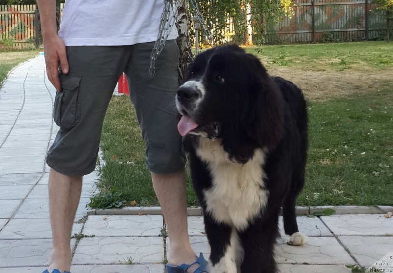 Фотография № 159581