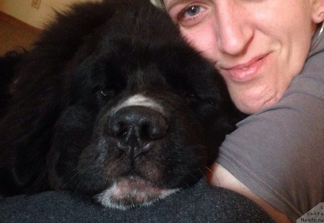 Фотография № 159582