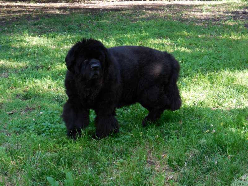 Фотография № 159589