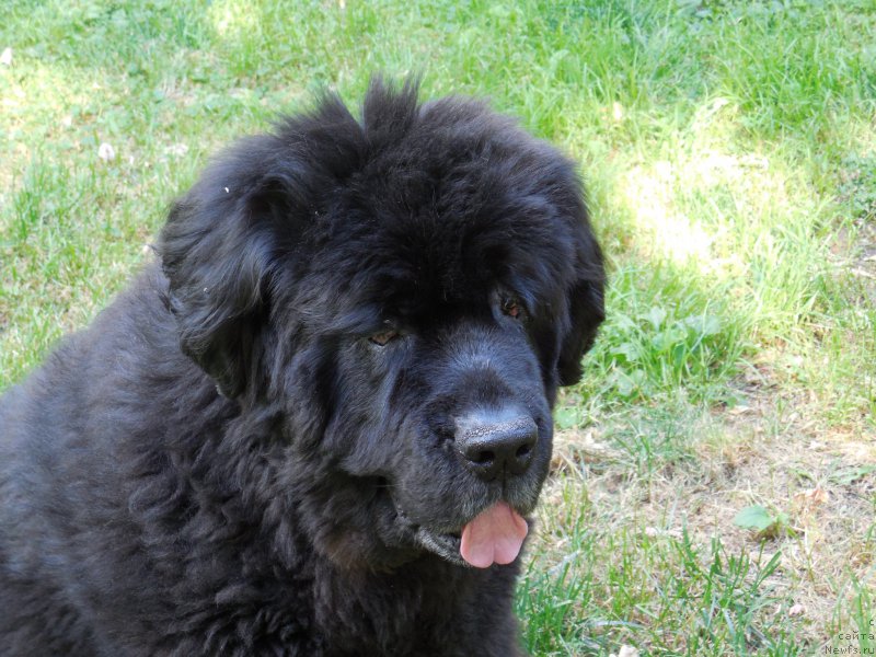 Фотография № 159592