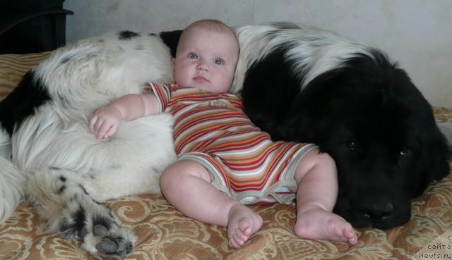 Фотография № 15960