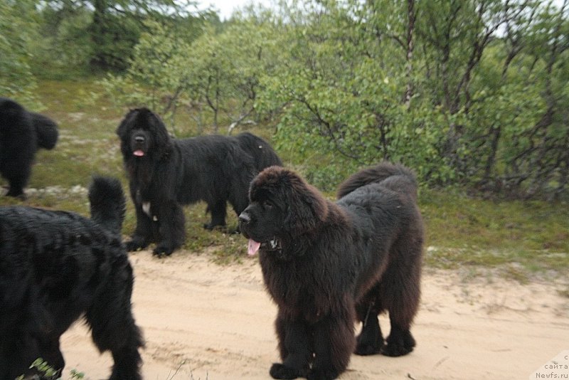 Фотография № 159607