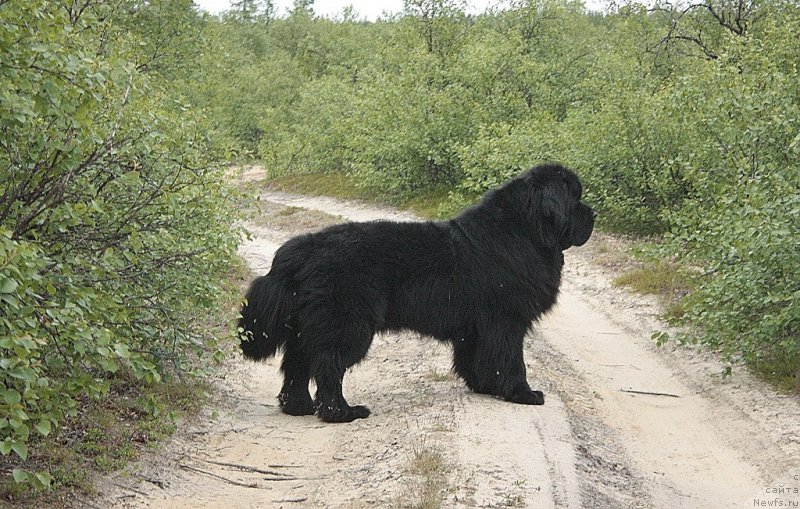 Фотография № 159608