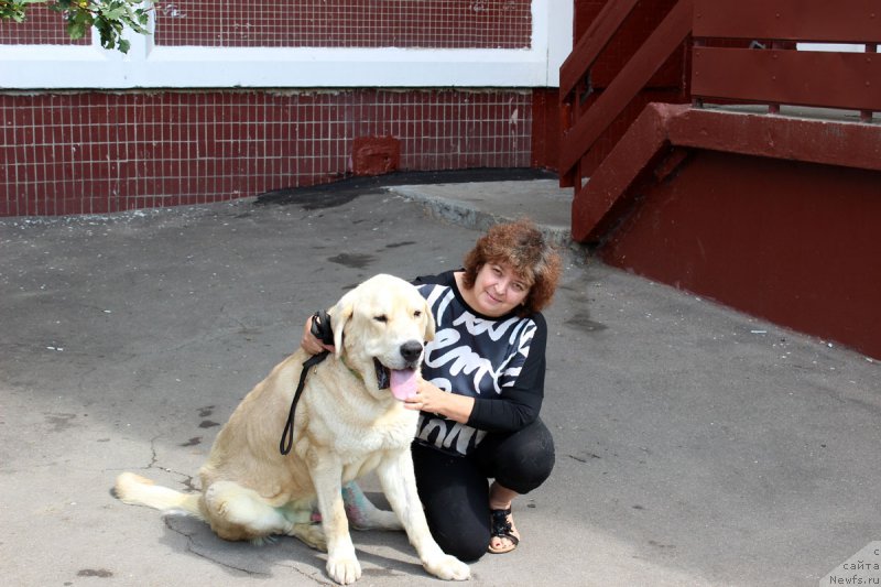 Фотография № 159617