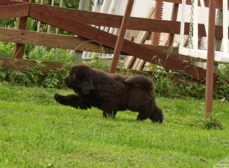 Фото: Виктор Хрищанович
