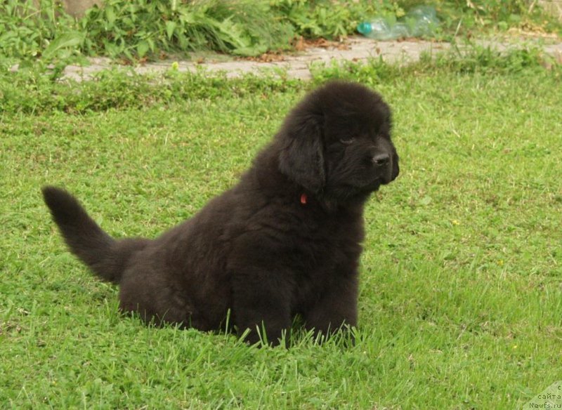 Фото: Виктор Хрищанович