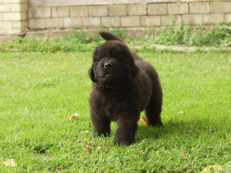 Фото: Виктор Хрищанович