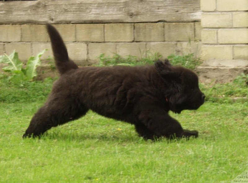 Фото: Виктор Хрищанович