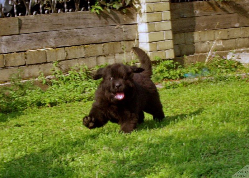 Фото: Виктор Хрищанович