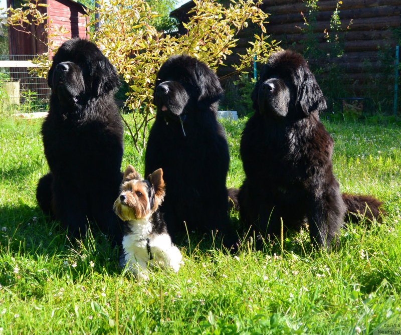 Фотография № 159653