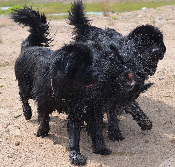 Фотография № 159655