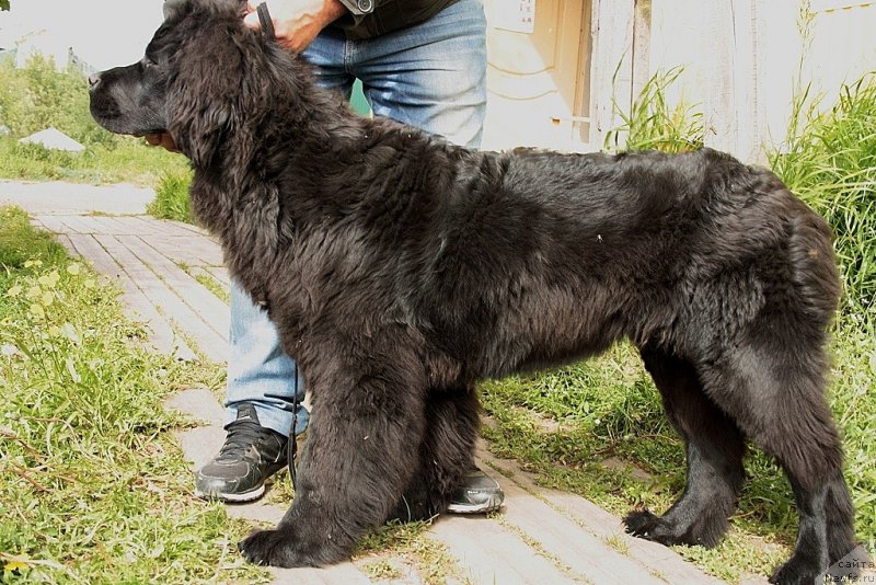 Фотография № 159661