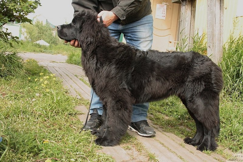 Фотография № 159662