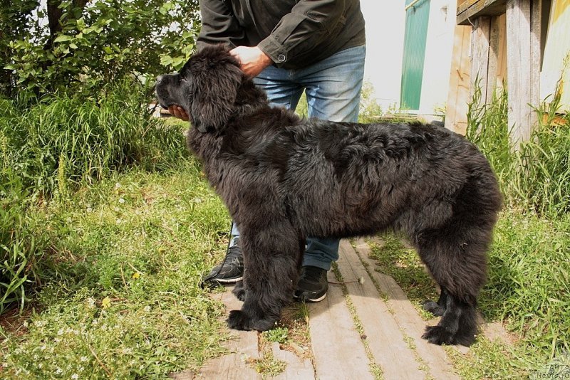 Фотография № 159663