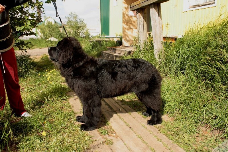 Фотография № 159665