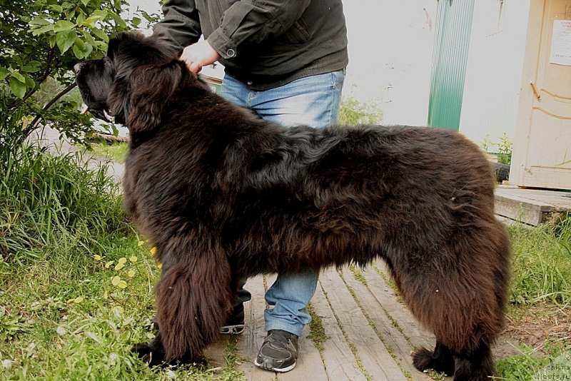 Фотография № 159666