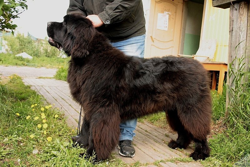 Фотография № 159667