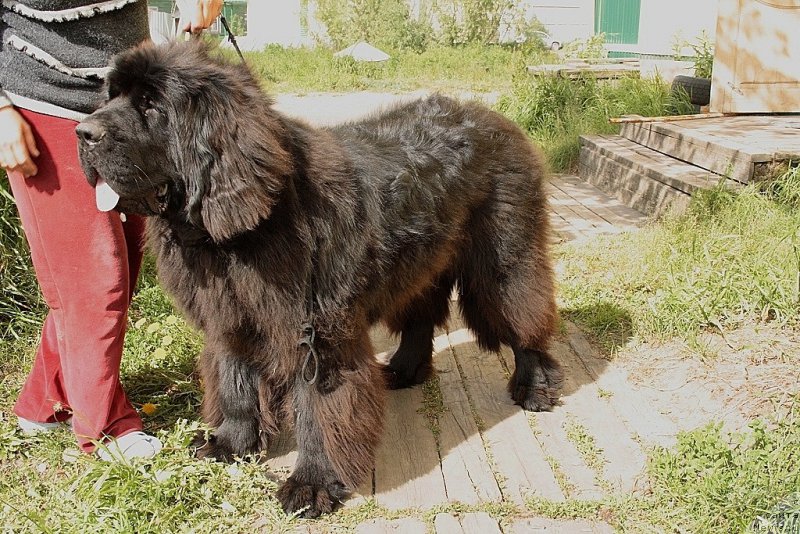 Фотография № 159668