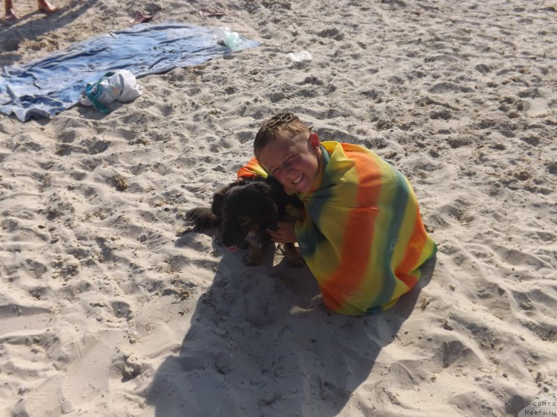 Фотография № 159677